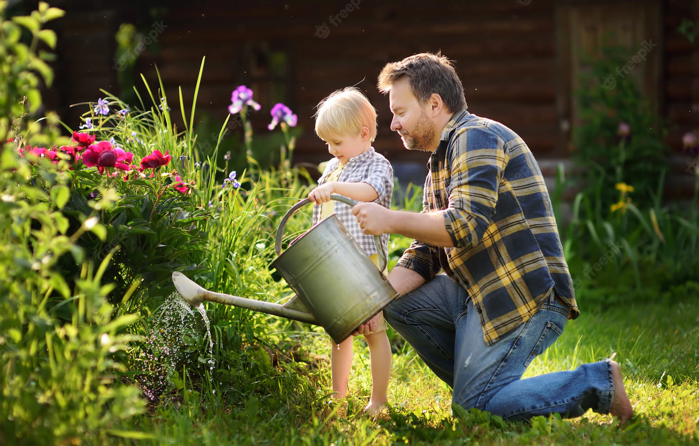 A man is kneeling on a garden kneeler – he is holding a watering can and is watering some flowers. A young boy is standing next to the man and is helping to water the flower bed