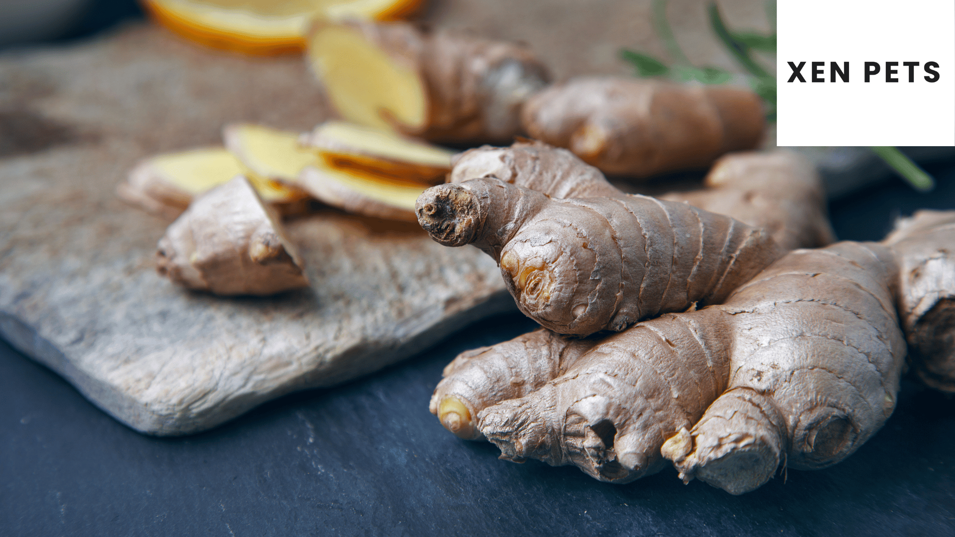 ginger can help car sickness in dogs