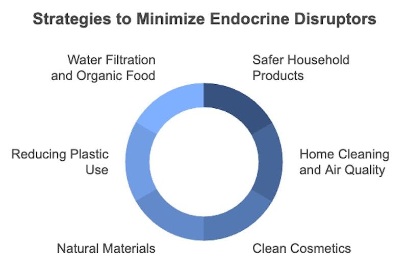 strategies to minimize endocrine disruptors