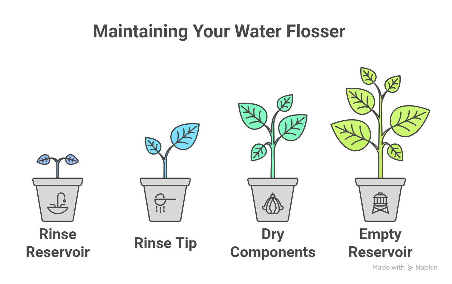 Daily Water Flosser Maintenance