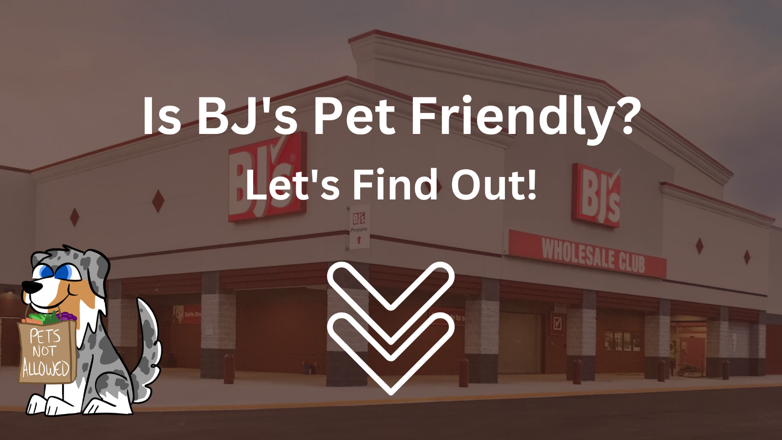 Image Text: "Is BJ's Wholesale Dog-Friendly? Let's Find Out!"