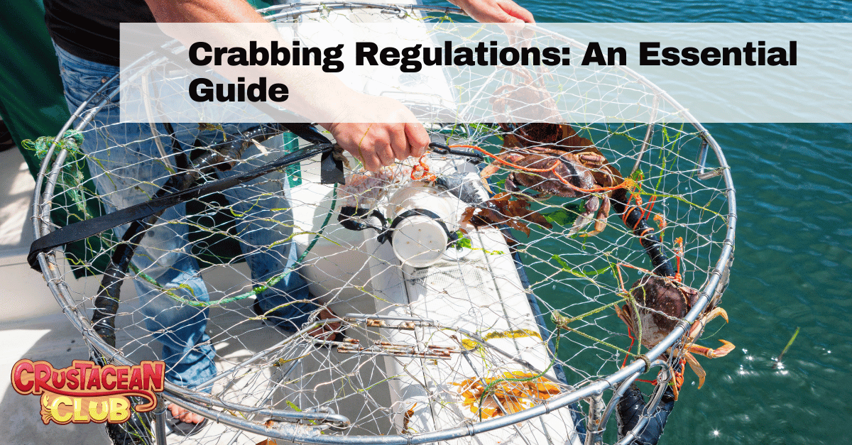 Crabbing Regulations: An Essential Guide