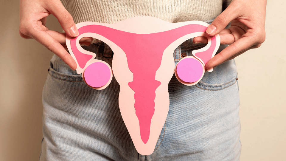 Fallopian Tube