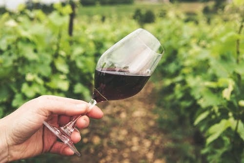 Pretending you know anything about wine in a Connecticut winery