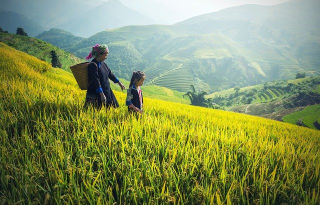 Beautiful fields in Asia showing mother earth chakras