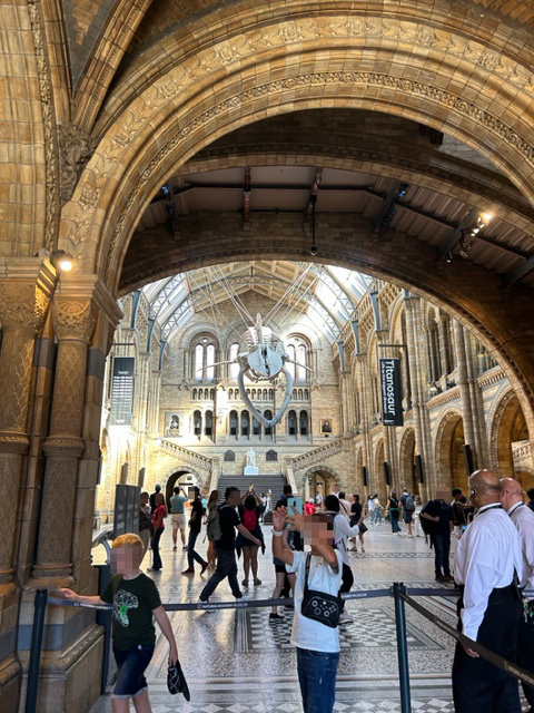 Samo wejście do natural history museum z widokiem na hol główny