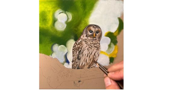 pastel pencils, owl drawing