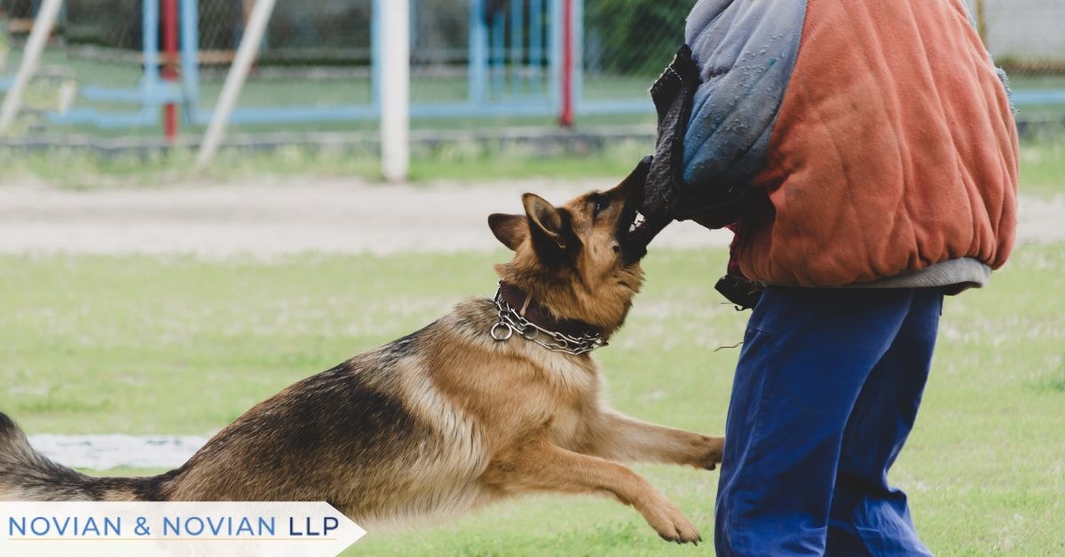 Who Is Liable for a Dog Bite in California?