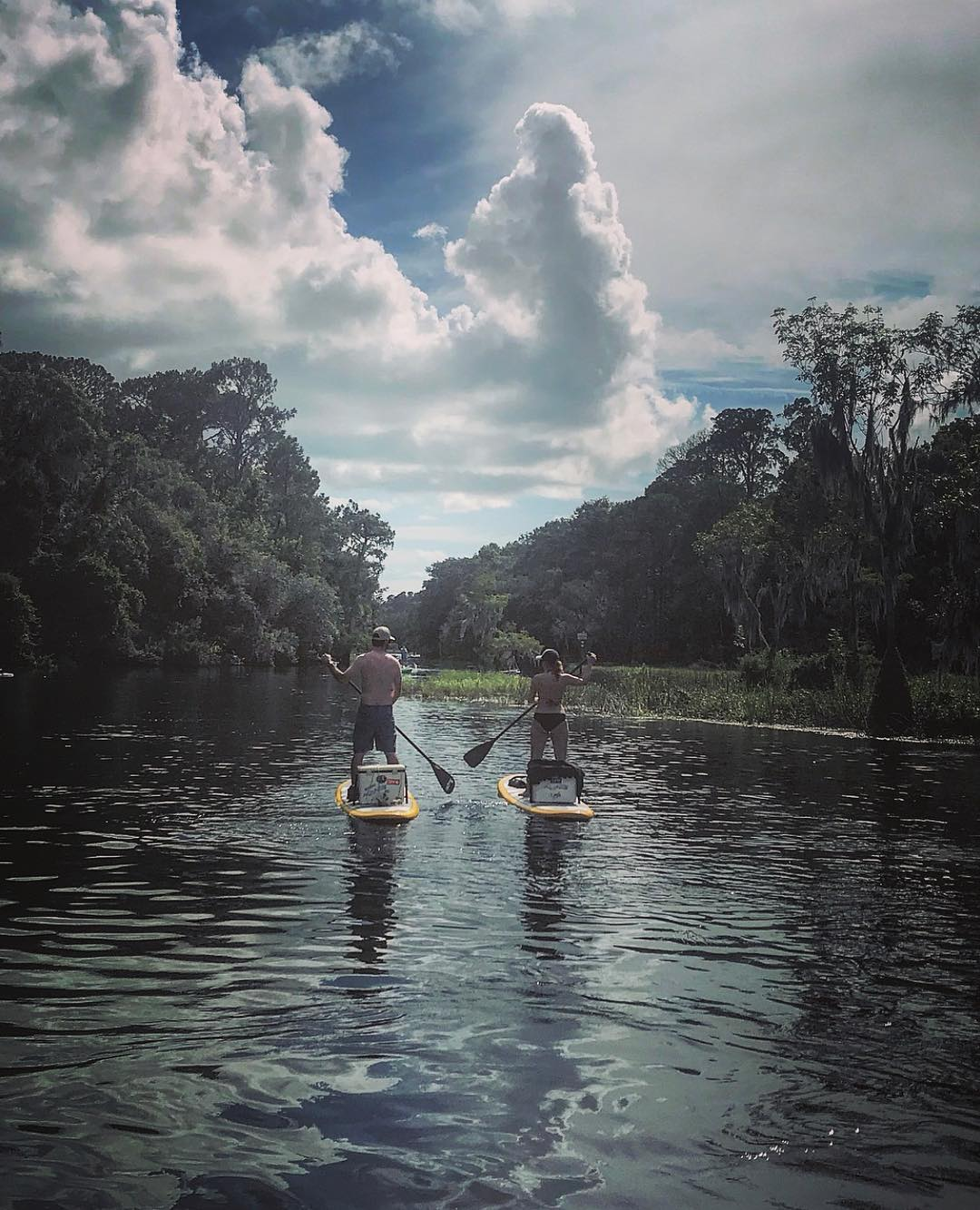 stand up paddle boards on a lake