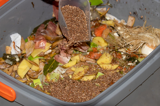 Best countertop compost bin for apartment kitchen