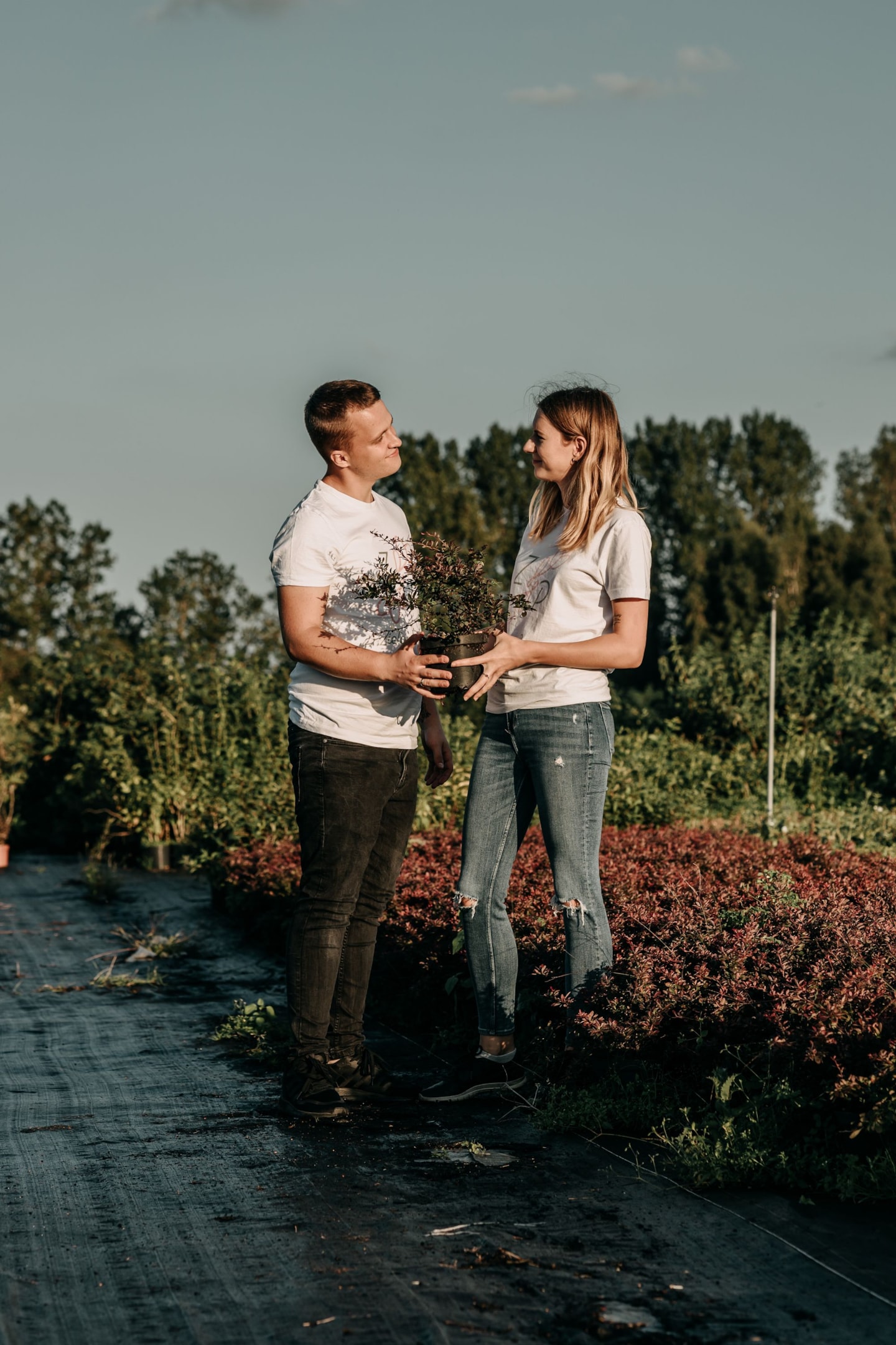 Produkty polecane przez Zieloną Parę, zdrowe rośliny w ofercie.