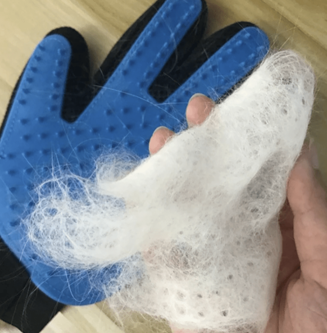 Pet hair remover glove with pet hairs on it