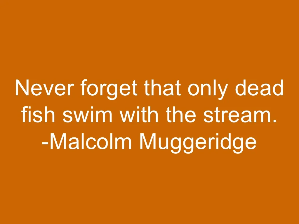 Never forget that only dead fish swim with the stream; Malcolm Muggeridge: