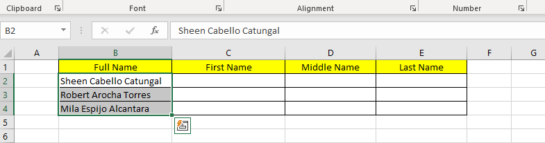 Split Names Using Text to Columns