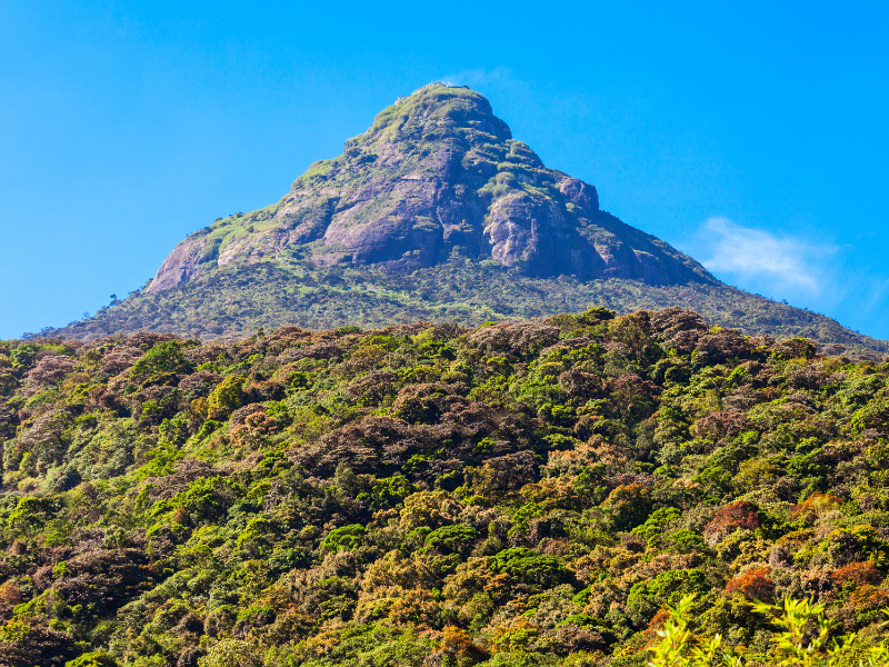 Aussicht auf den Adam's Peak