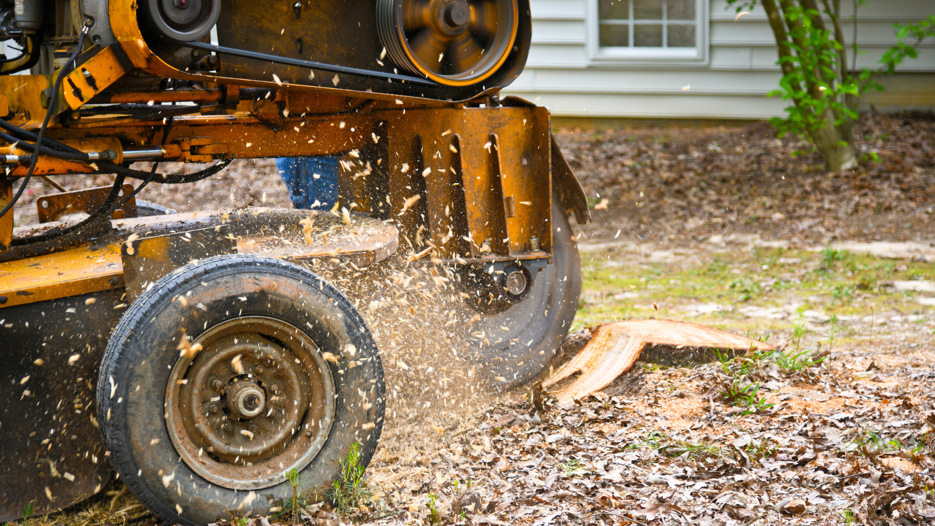 An industrial stump grinder removing a tree stump.