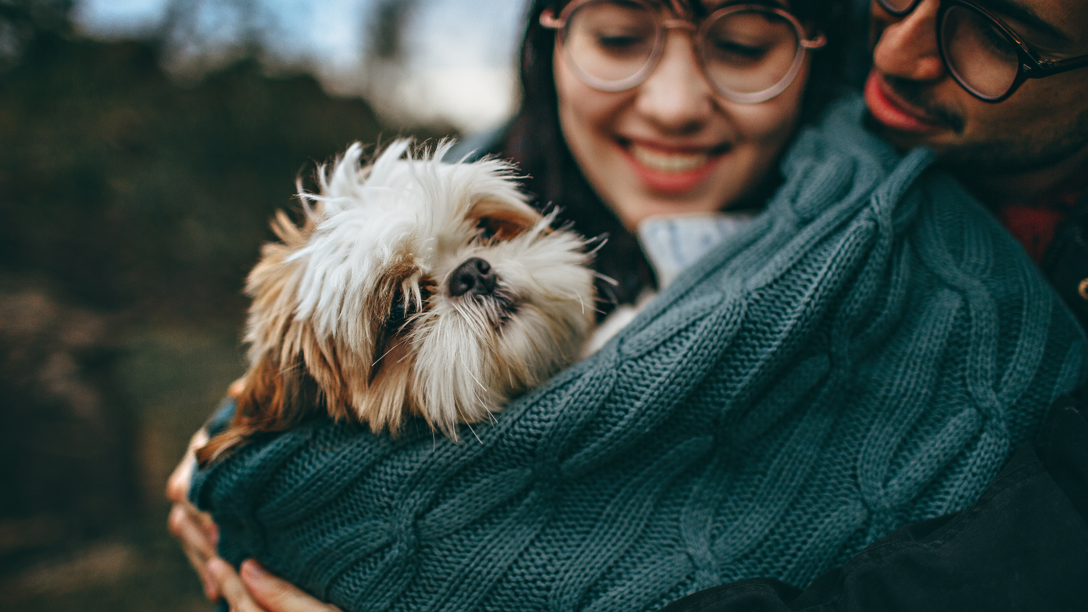 A happy Shih Tzu being embraced by its parents