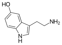 Psilocybin Compound 