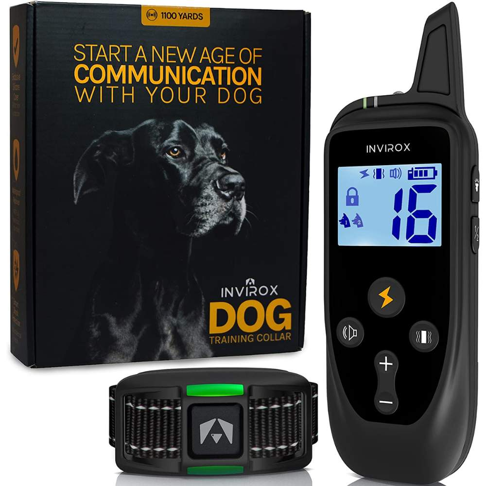 Best Shock Collar For Hunting Dogs Review & Buying Guide!