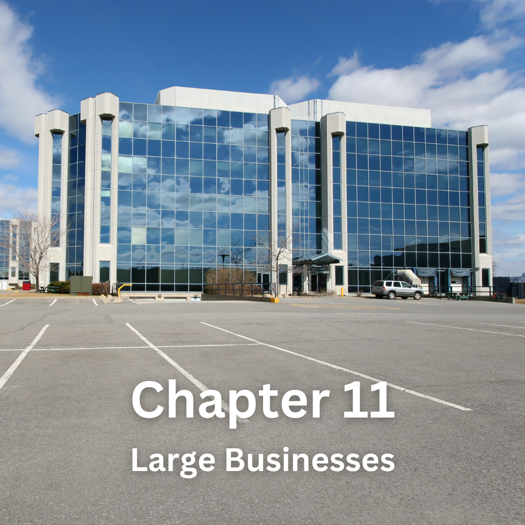Chapter 11 for Large Businesses in South Florida.