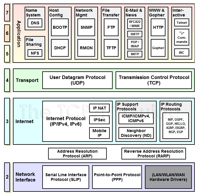 TCP/IP Protocols