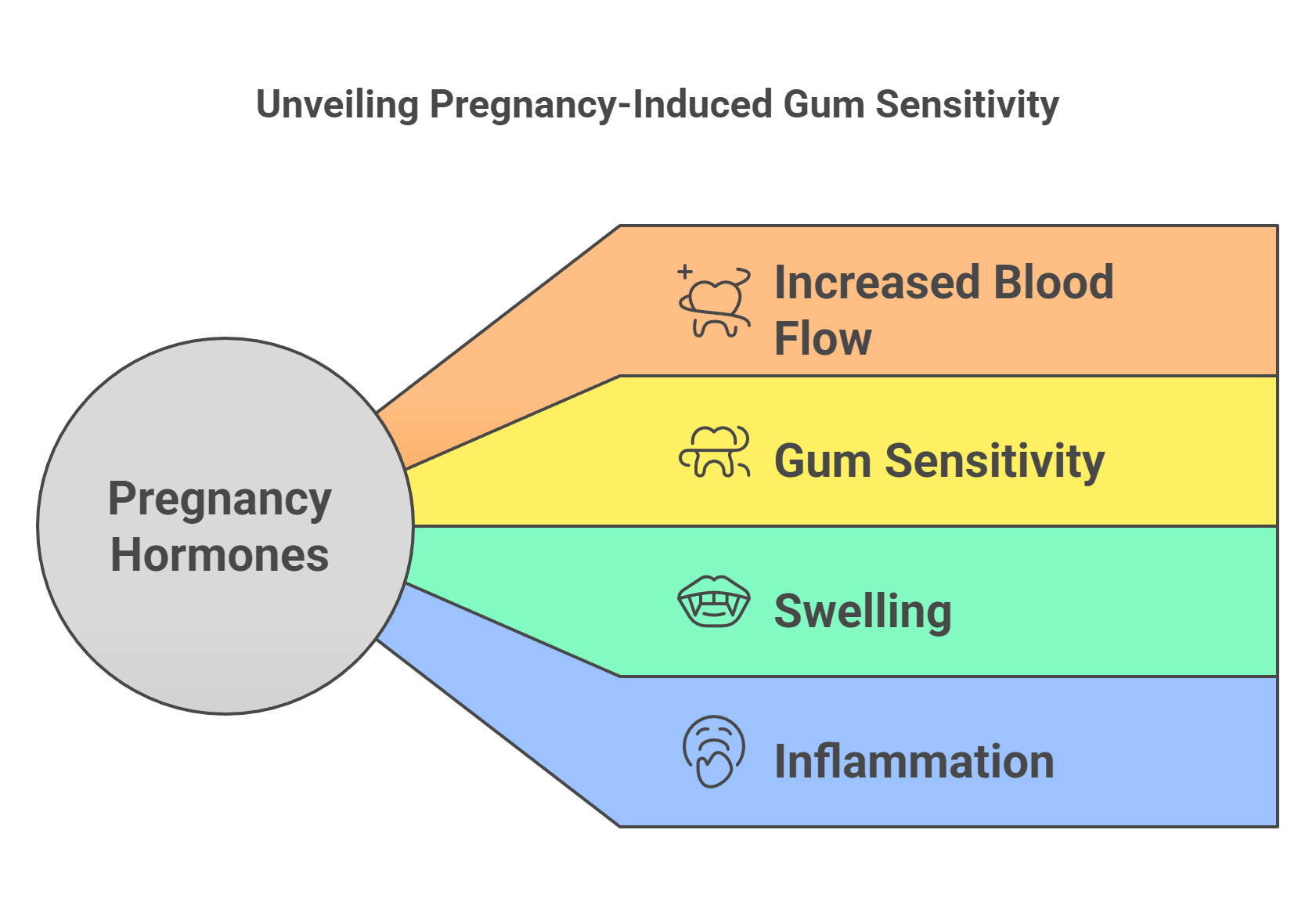 1. Hormonal Surges Increase Gum Sensitivity