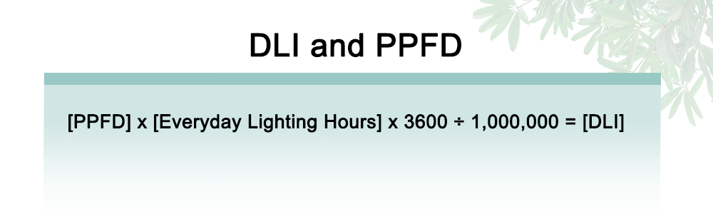The relationship between DLI and PPFD