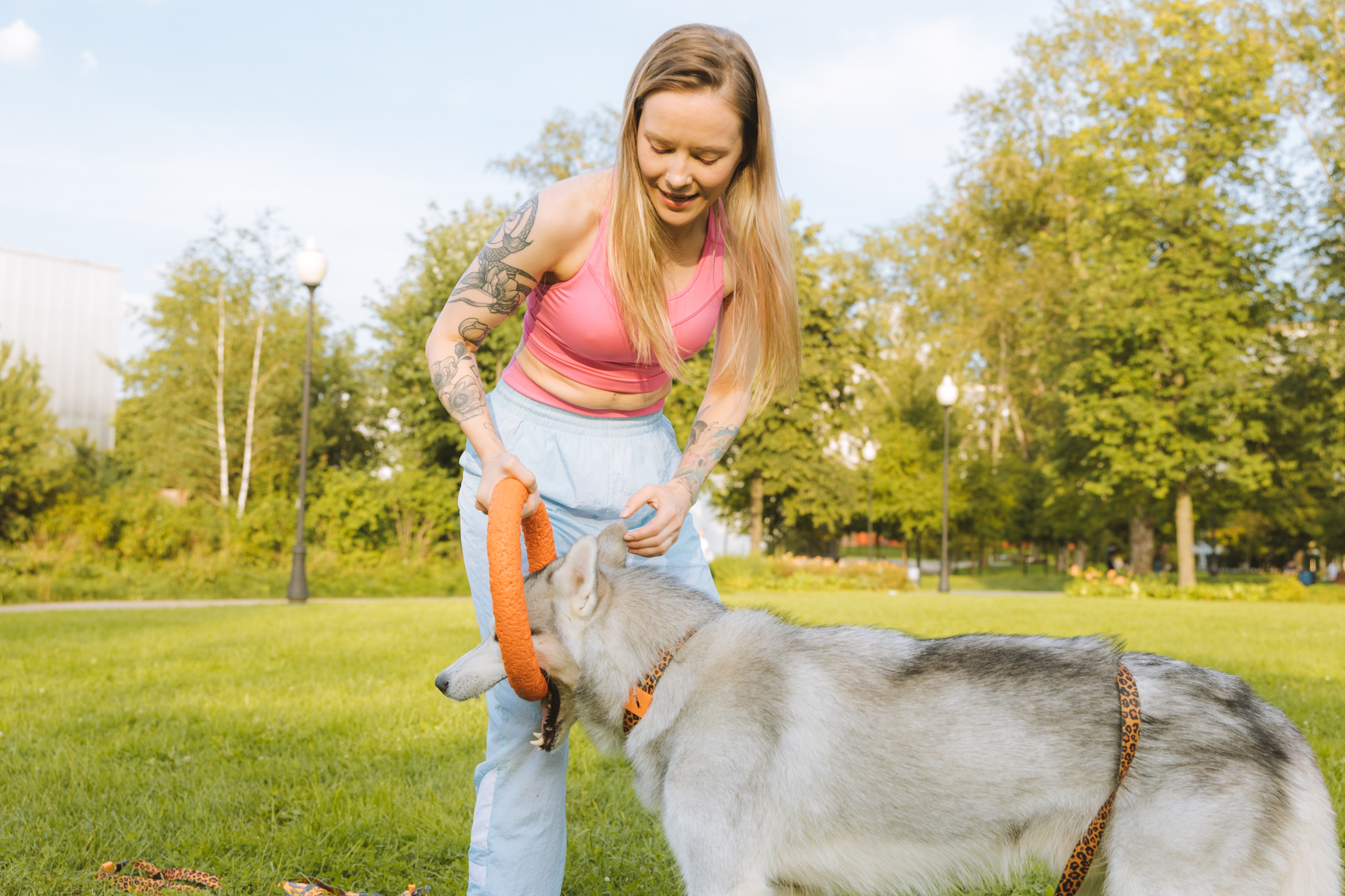 Pros and cons of dog training for clients.