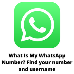 What Is My WhatsApp Number