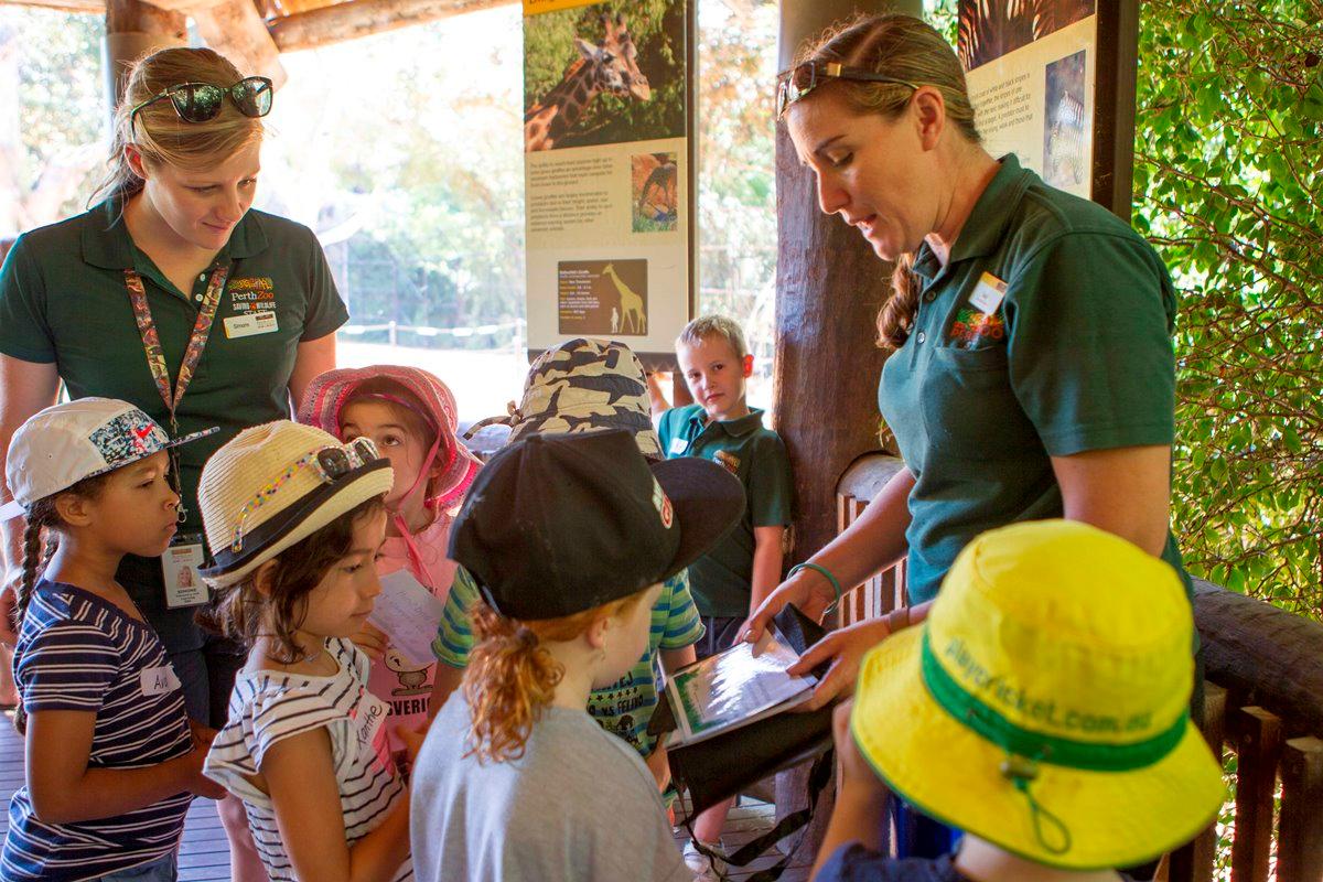 Kids workshops at Perth Zoo - activities for the disabled