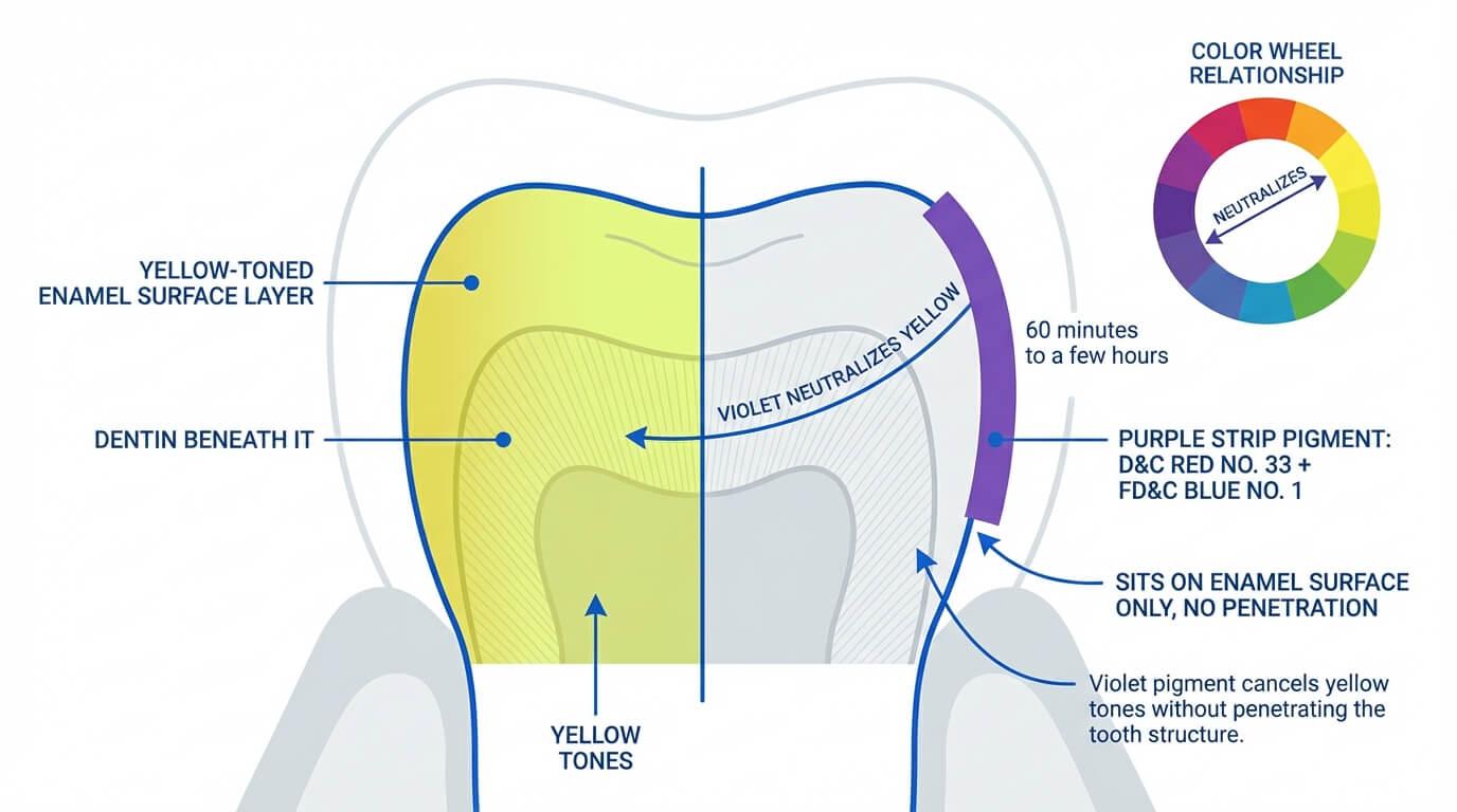 How Purple Teeth Whitening Strips Work (And Why They're Purple)