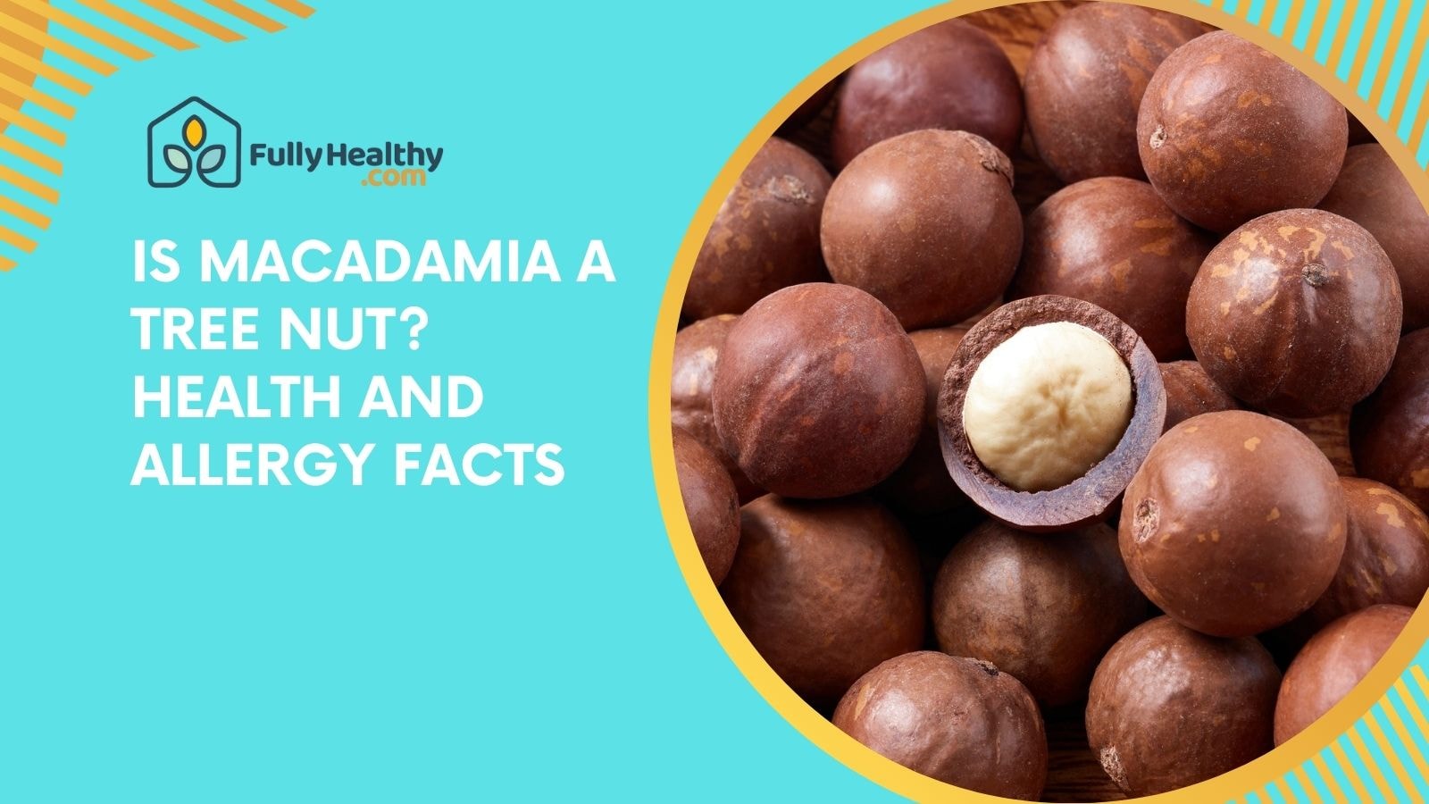 Is Macadamia a Tree Nut? Health and Allergy Facts