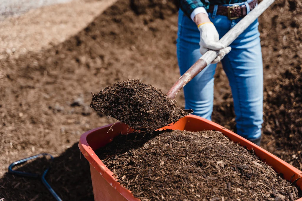 Is Compost Bad For Soil?