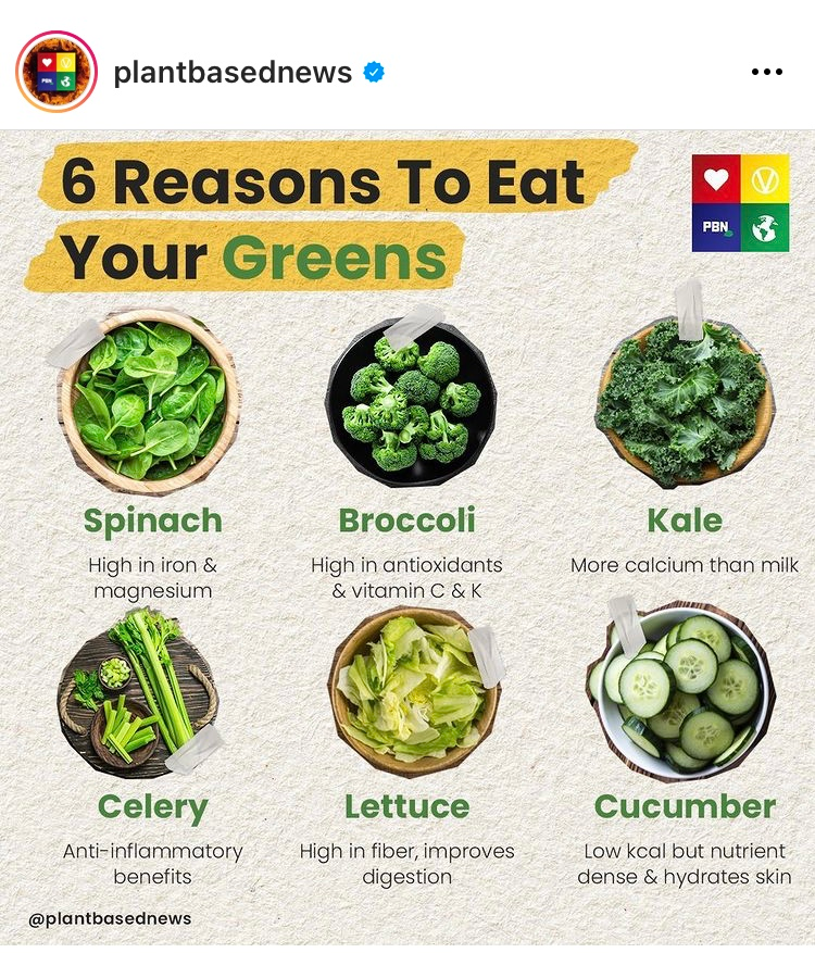 Credit @plantbasednews Instagram