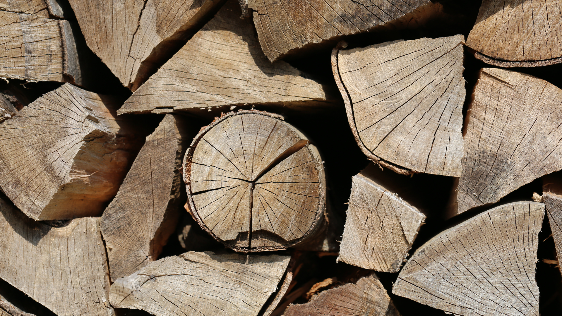 A stack of dry, seasoned firewood.