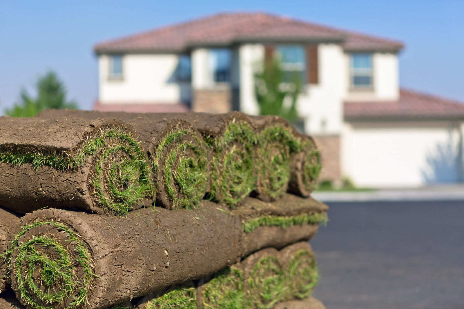 install sod, new sod, sod costs, sod rolls