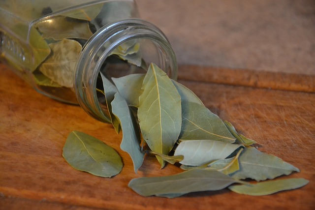 laurel, bay leaf, spice