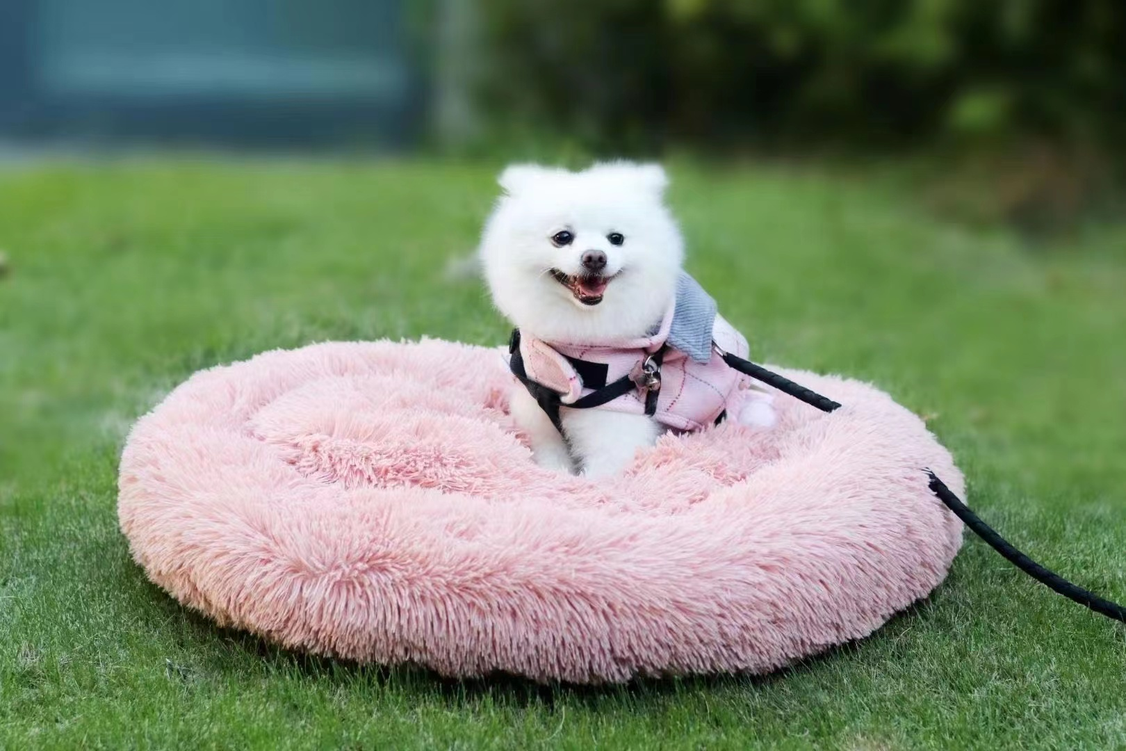 donut bed