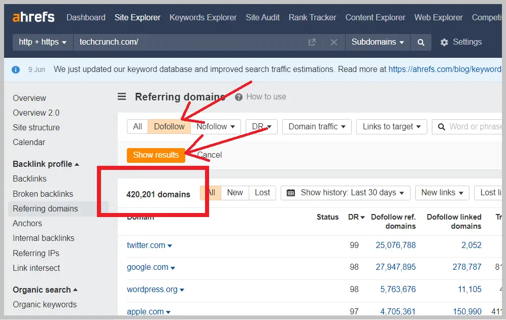 Screenshot of Ahrefs Referring Domains Report 