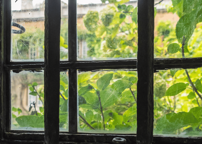 How to Clean Leaded Glass Windows A Comprehensive Guide CleanseHive