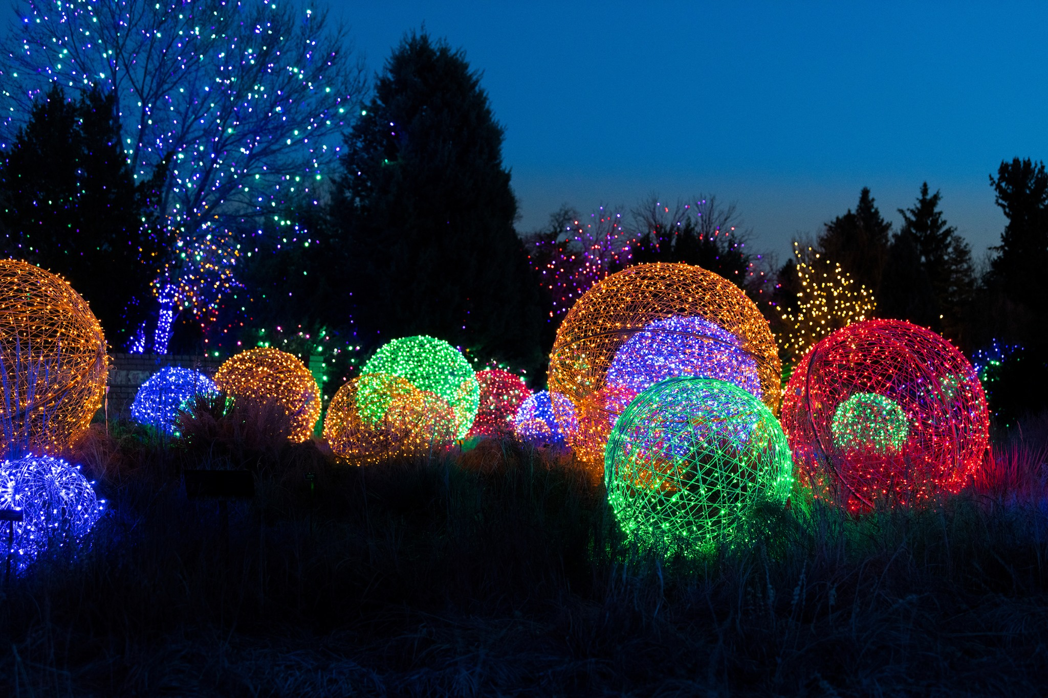 Colorful displays at Blossoms of Light, a winter festival at the Denver Botanic Gardens 