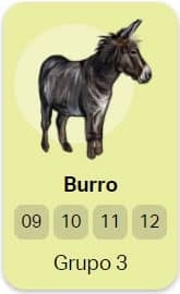 burro no jogo do bicho