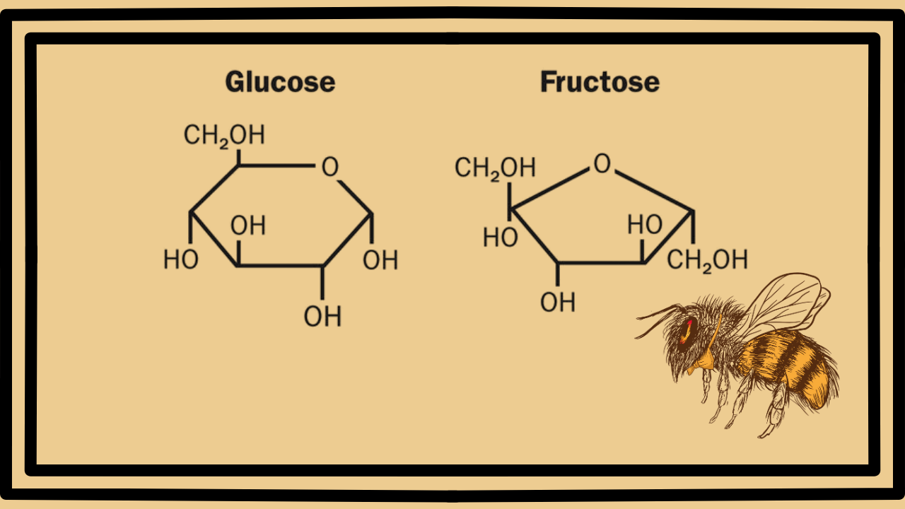 honey solidified