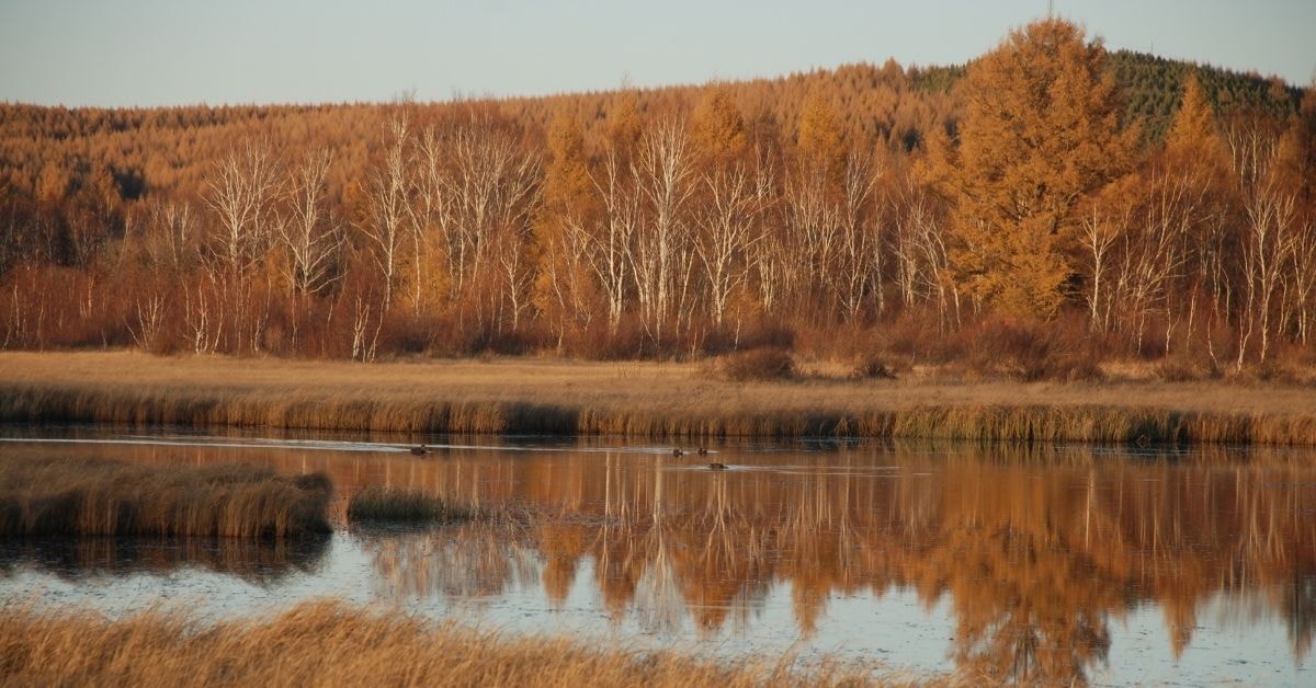 Autumn in Mongolia