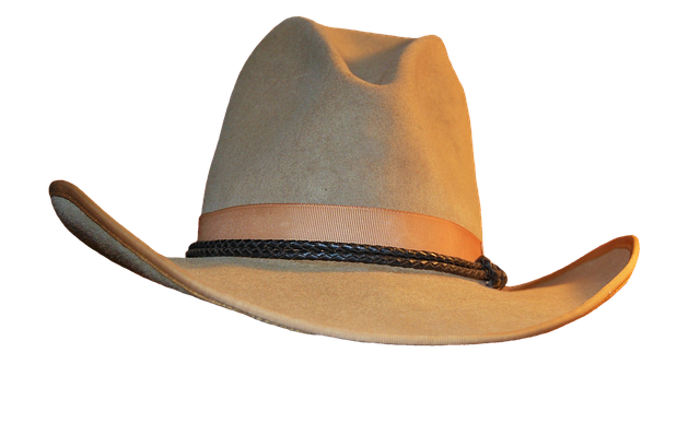 cowboy hat, cap, hat brim