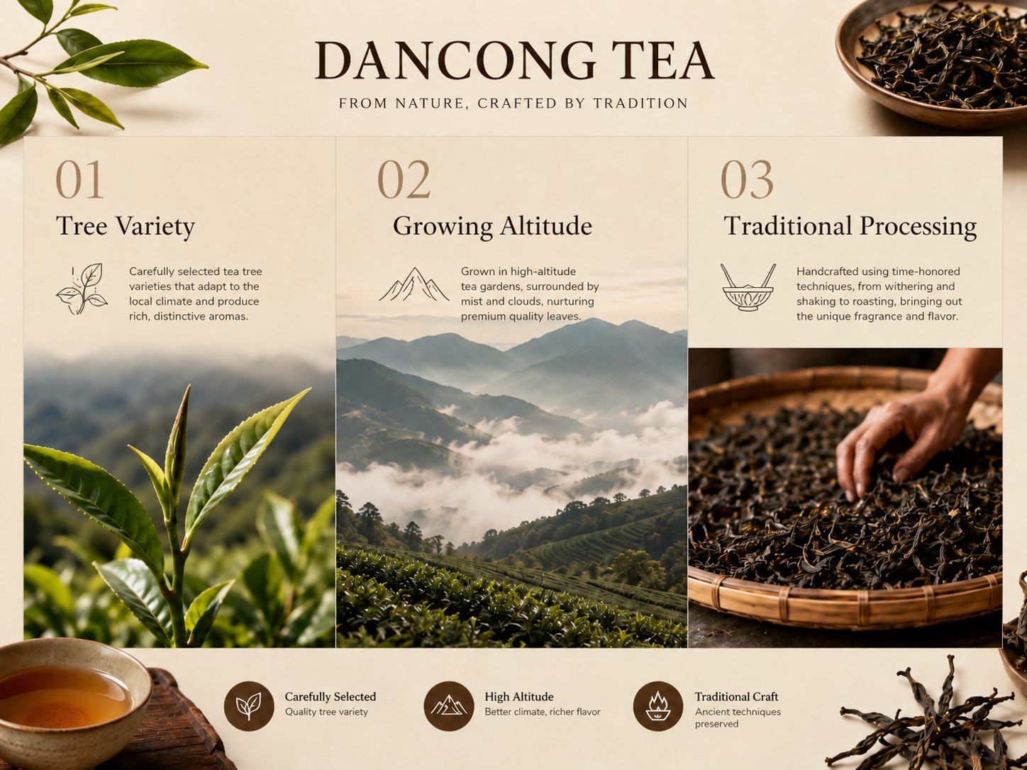 Dancong Tea
