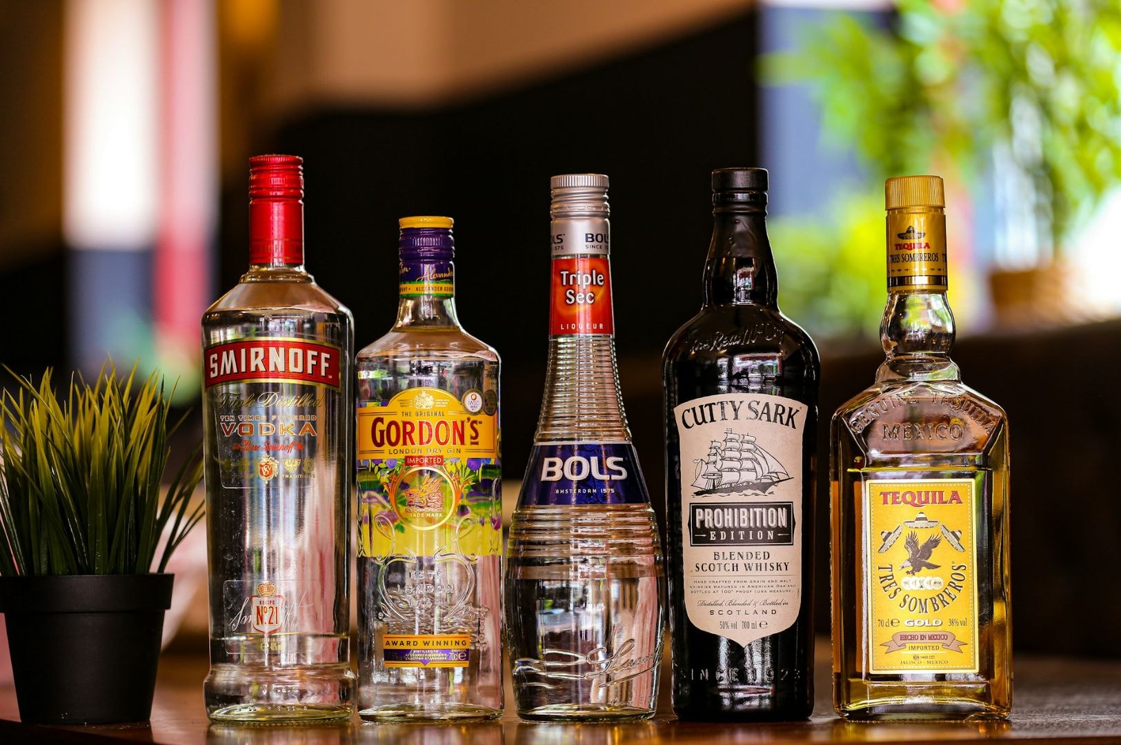 Five liquor bottles are lined up on a wooden table: vodka, gin, triple sec, scotch whisky, and tequila. A small potted plant sits to the left.