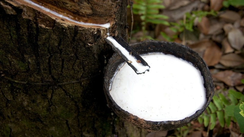 Natural rubber