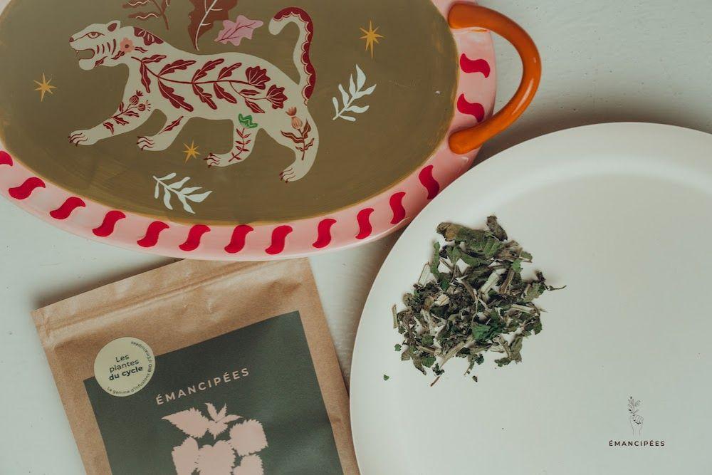 choix plantes hormones