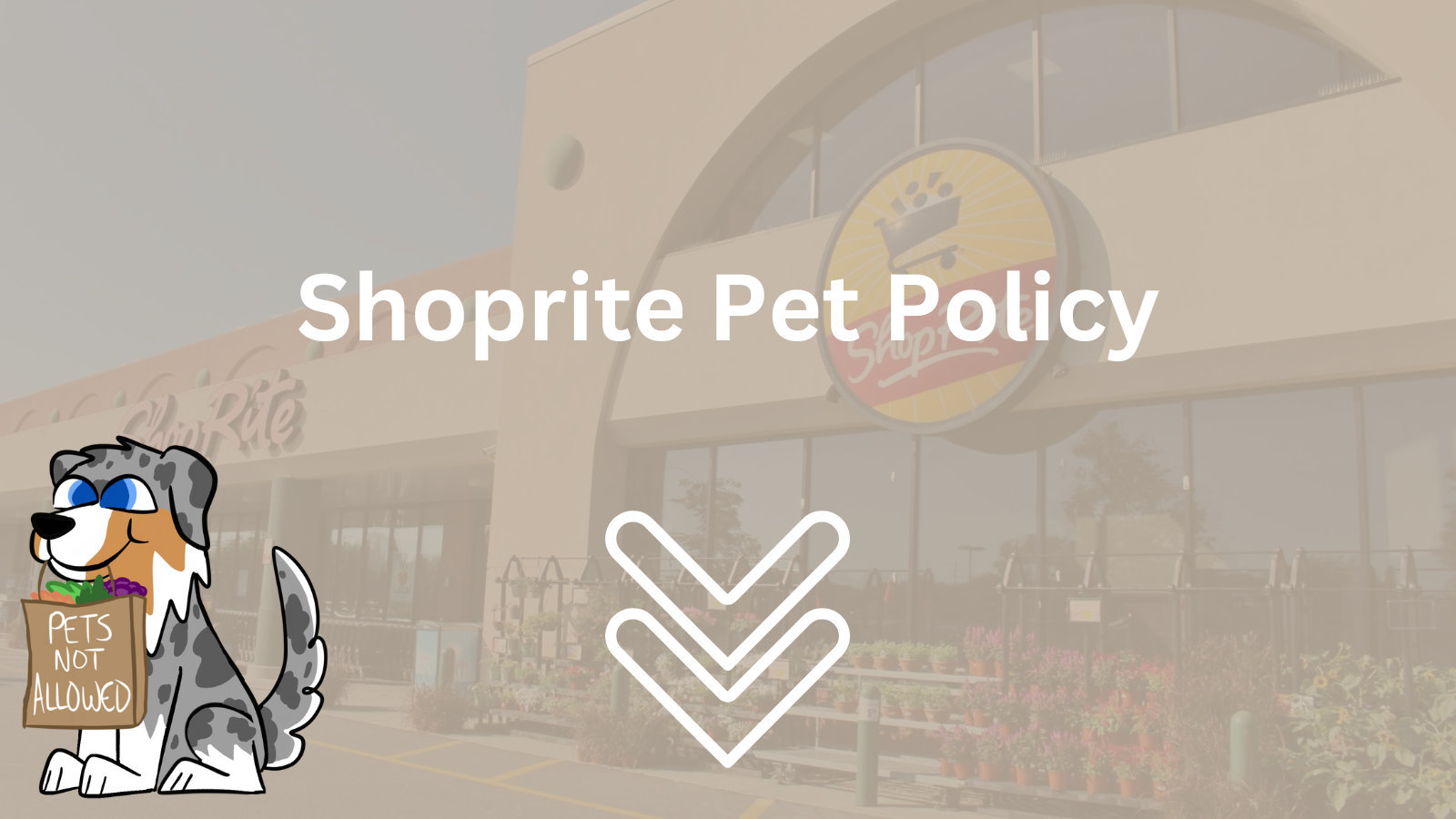 Image Text: "Shoprite Pet Policy"